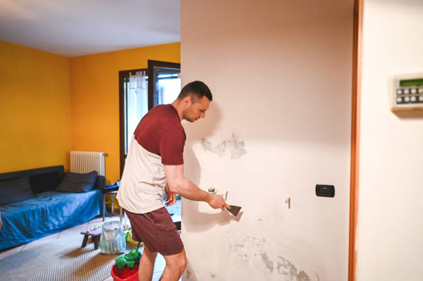Best Insurance-Related Mold Remediation in Auburn, AL